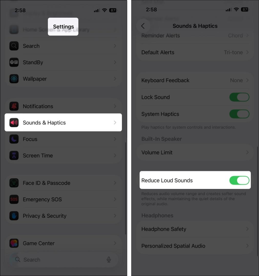 Reduce Loud Sounds enabled under Built-In Speaker settings.