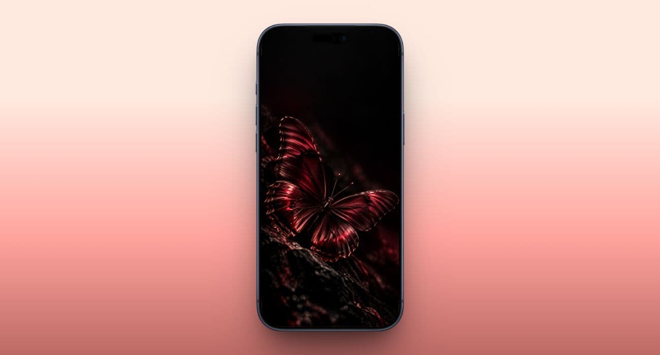 Burgundy butterfly