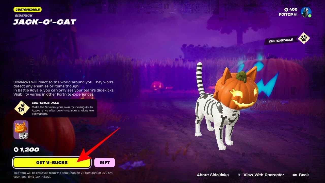 Purchase Jack-O-Cat Fortnite