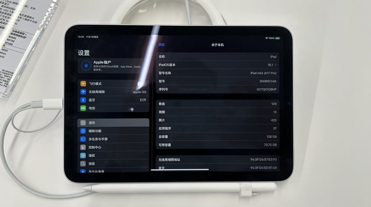 An iPad mini with a white stylus and cable beside it, its screen showing Settings