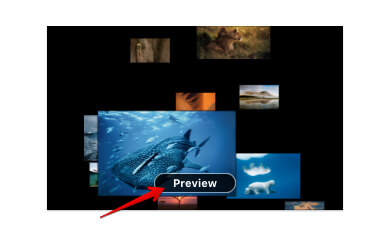 Preview Screen Saver in Mac OS X