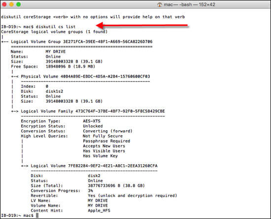 Type diskutil cs list command in Terminal on Mac