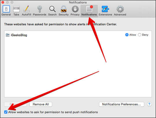 Check Allow Websites to ask for permission to send push notifications on Mac