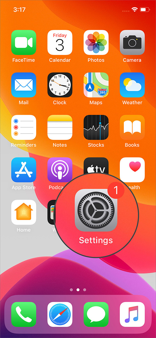 Open Settings App on iPhone