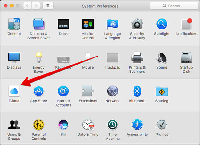 Click on iCloud in Mac System Preferences