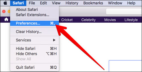 Click on Preferences in Safari on Mac