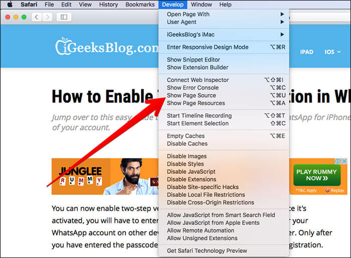 View Page Source Using Develop Menu on Mac