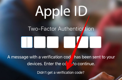 You need to select Didn't get a Verification code