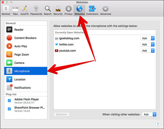 Click on Websites then Microphone in Safari Settings on Mac Running macOS High Sierra