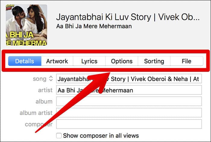 How to Edit Music Metadata in iTunes on Mac and Computer - 11