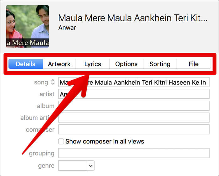 Edit Music Metadata in iTunes on Windows PC or Mac