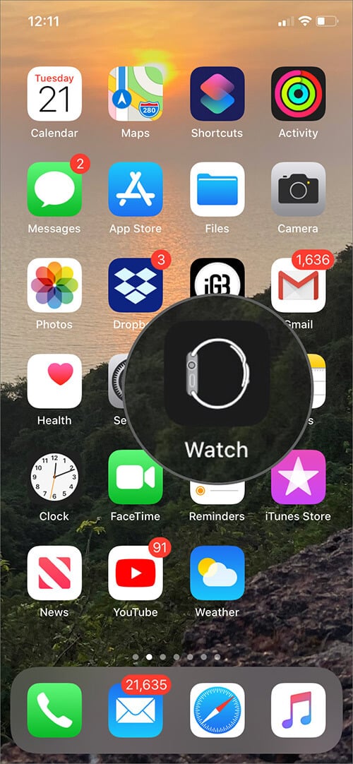 Open Watch App on iPhone