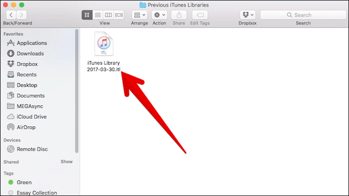Copy iTunes Library Date File on Mac