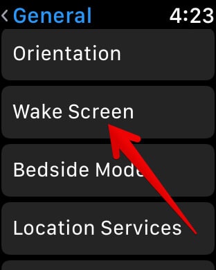 Tap on Wake Screen in Apple Watch Settings