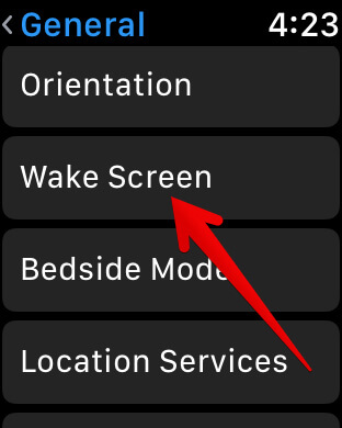 Tap on wake screen in apple watch settings