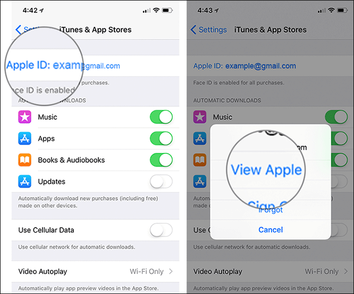 Tap on View Apple ID in iPhone or iPad Settings