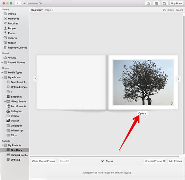 Click on Options in Photos App on Mac