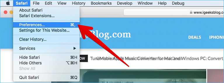 Click on Preferences in Safari on Mac