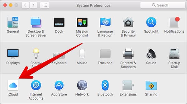 Click on iCloud in Mac System Preferences