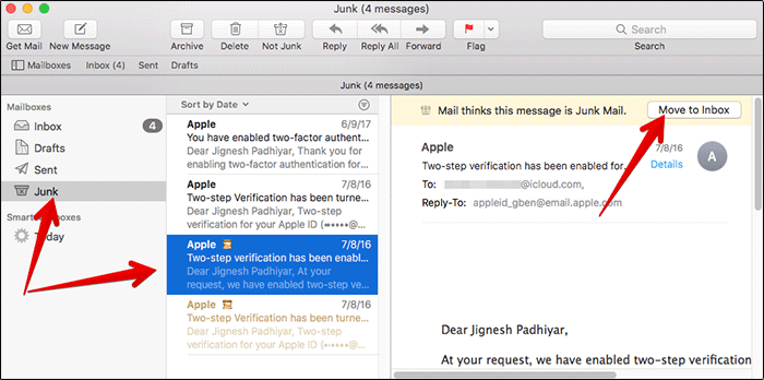 Move Junk Email to Inbox in Mail App on Mac