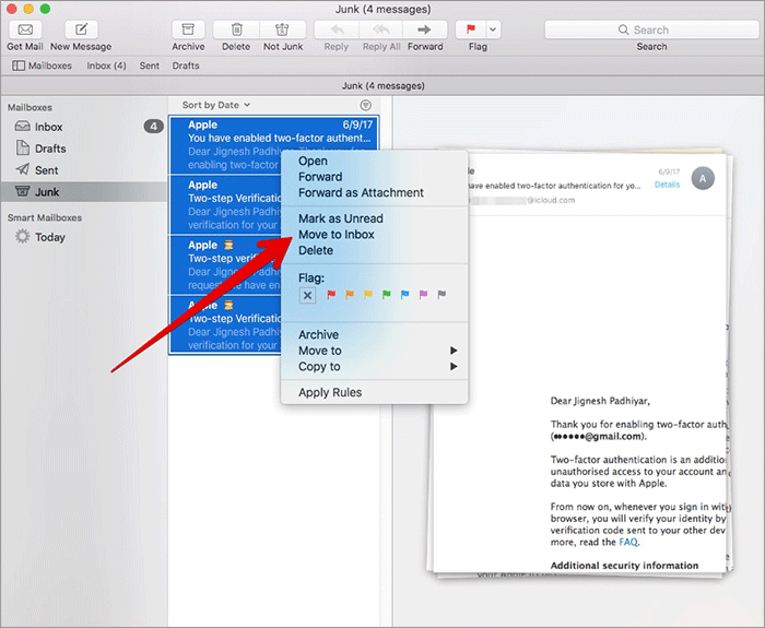 Move Multiple Junk Mails to Inbox in Mail App on Mac