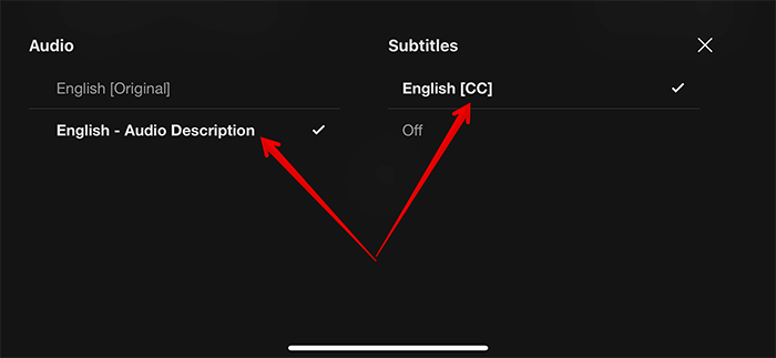 Enable Subtitles in Netflix on iPhone and iPad