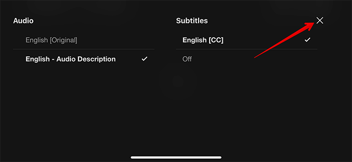 How to Enable Subtitles in Netflix on iPhone and iPad