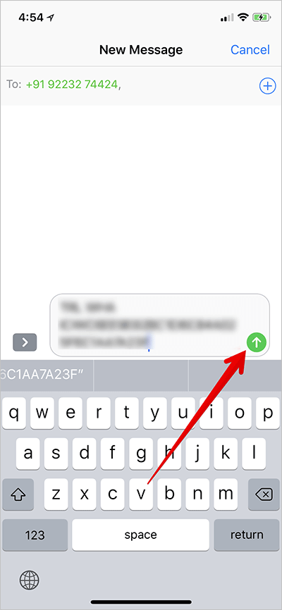 Verify Phone Number for WhatsApp Payment on iPhone