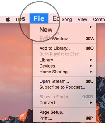 Select File from the menu bar on Mac