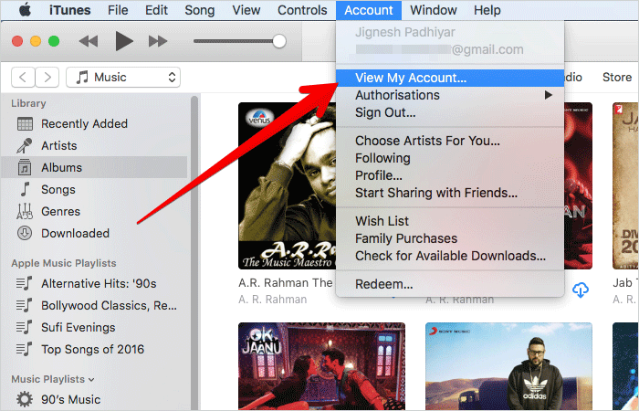 How to Deauthorize Third Party App Permissions for Apple Music - 37