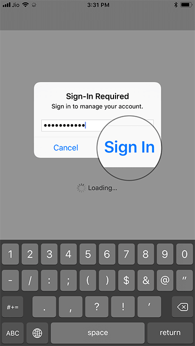 Sign in with your Apple ID Password on iPhone or iPad
