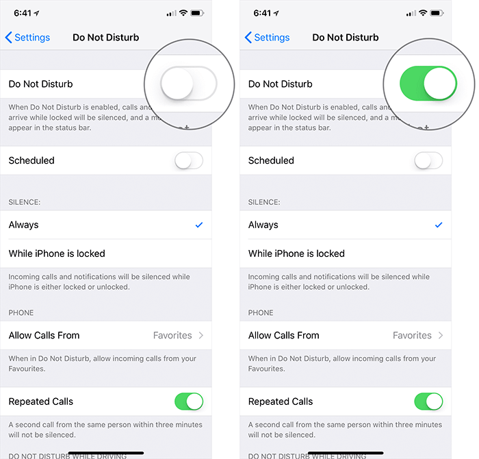 Enable Do Not Disturb in iOS 12 on iPhone