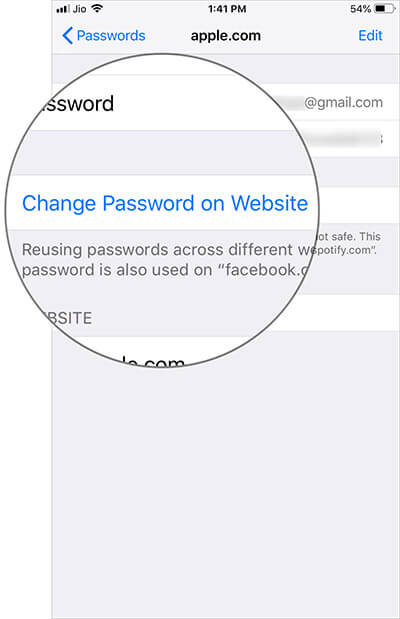 Tap on Change Password on Website in iOS 12 on iPhone