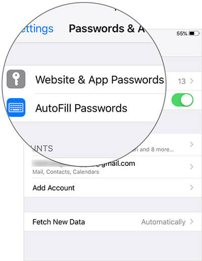 Tap on Website & App Passwords in iPhone Settings