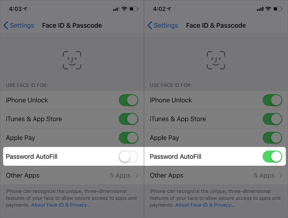 Enable Password Autofill in iPhone X Settings