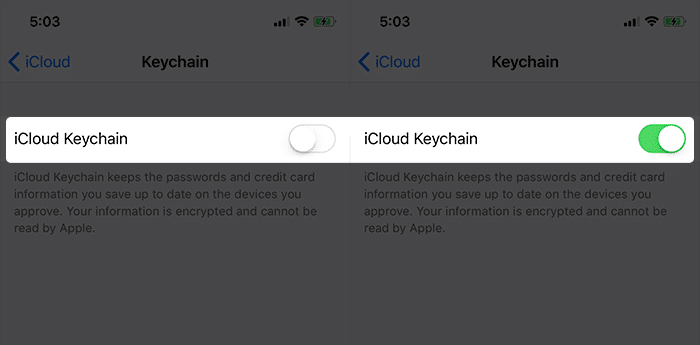 Enable iCloud Keychain on iPhone X
