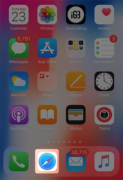 Open Safari on your iPhone X