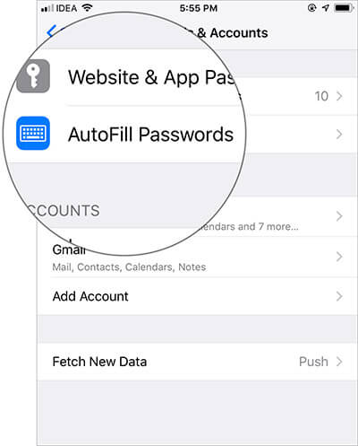 Tap on AutoFill Passwords in iOS 12 Settings