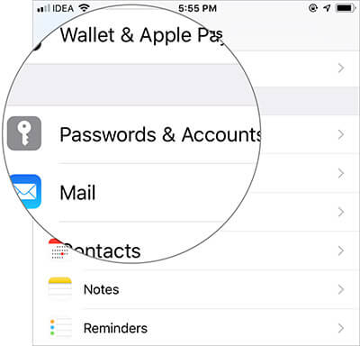 Tap on Passwords & Accounts in iOS 12 Settings