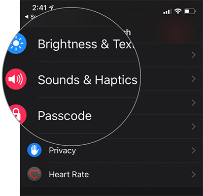 How to disable Haptic Feedback on Apple Watch