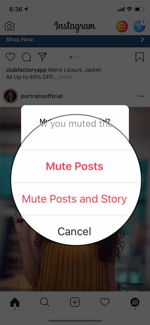 Mute Instagram Story Without Unfollow on iPhone