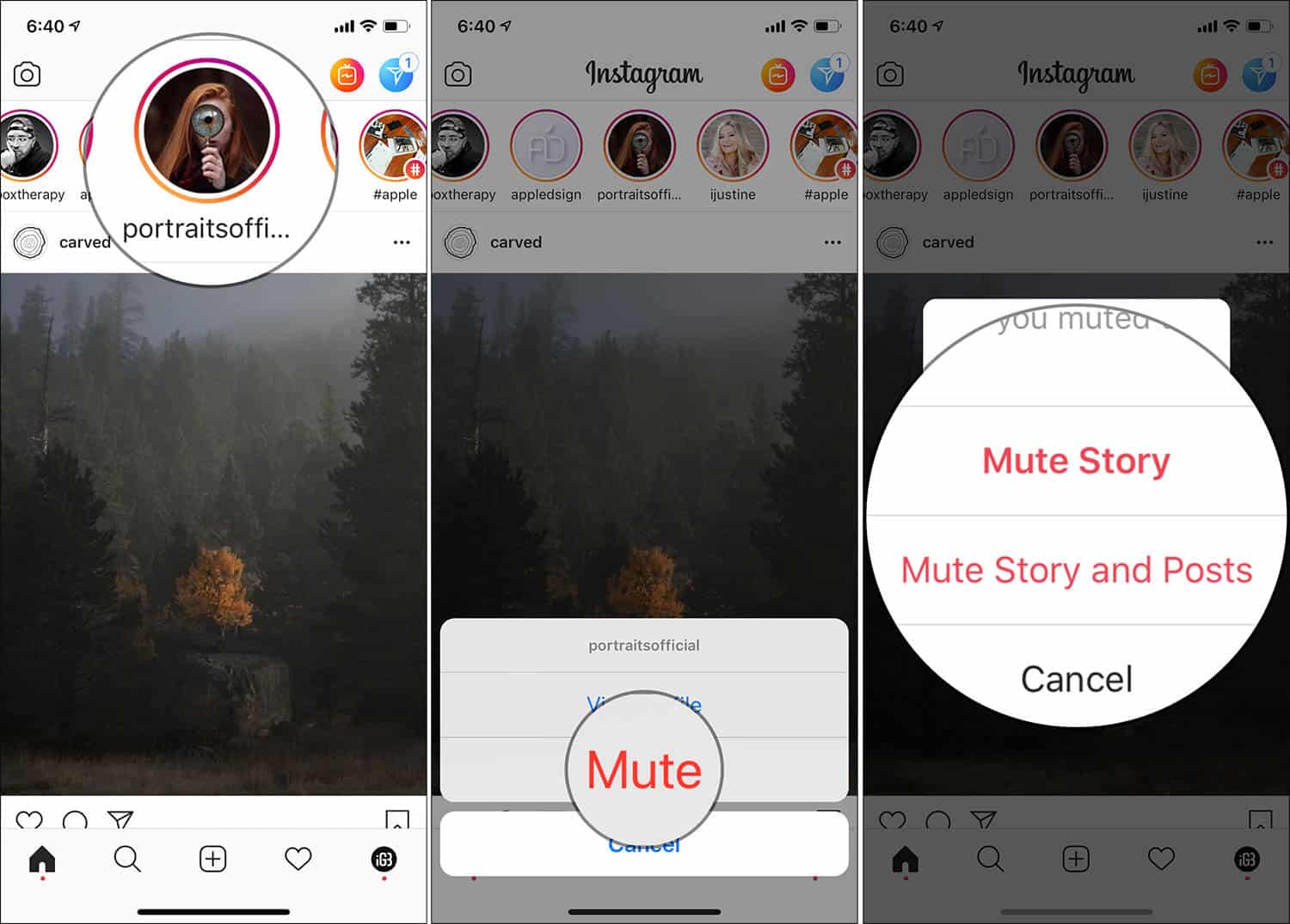 Mute Instagram Story on iPhone Without Unfollowing Account