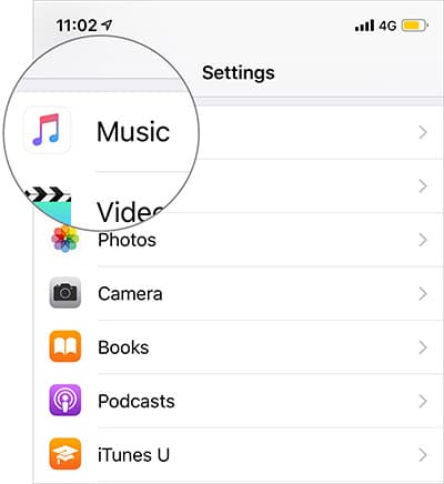 Tap on Music in Settings on iPhone