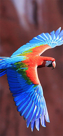 Best iPhone XR Wallpapers - 48