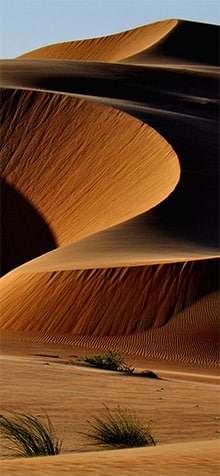 Desert iPhone XS Wallpaper