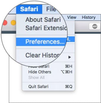 Go to Safari Preferences on Mac
