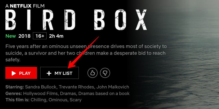 My List in Netflix