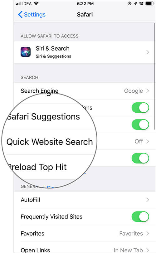 Tap on Quick Website Search in Safari Settings on iPhone
