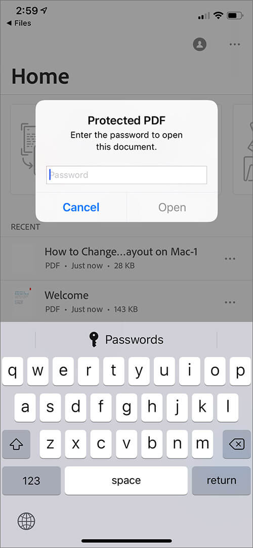 Password Protected PDF File on iPhone or iPad