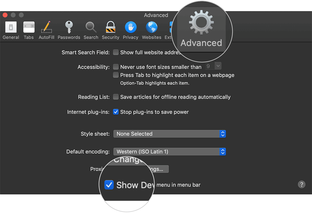 Show Develop Menu in Safari Menu Bar on Mac